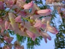 �͡᤽��� �ٻ���10