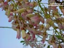 �͡᤽��� �ٻ���4