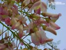 �͡᤽��� �ٻ���5